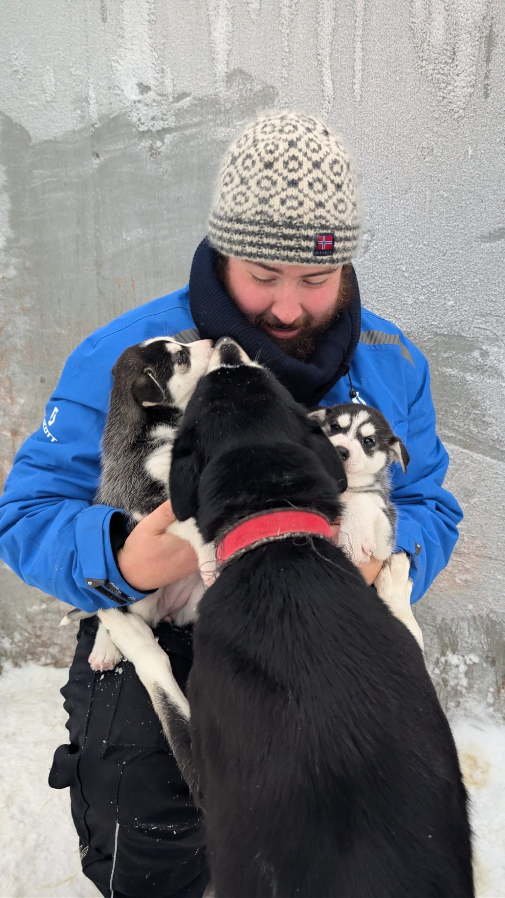 Leon with husky puppies in Finnish Lapland